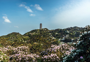 田林老山风光