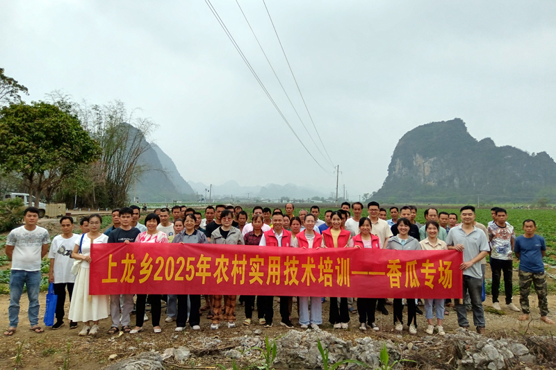 上龙乡举办香瓜种植技术培训班。